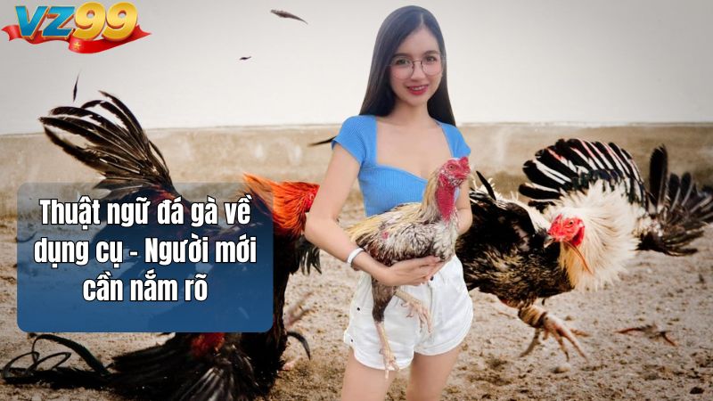 Thuật ngữ đá gà về dụng cụ – Người mới cần nắm rõ